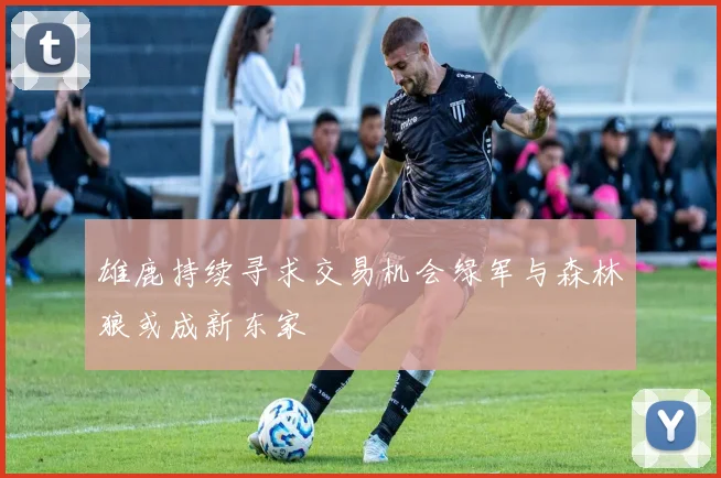雄鹿持续寻求交易机会绿军与森林狼或成新东家